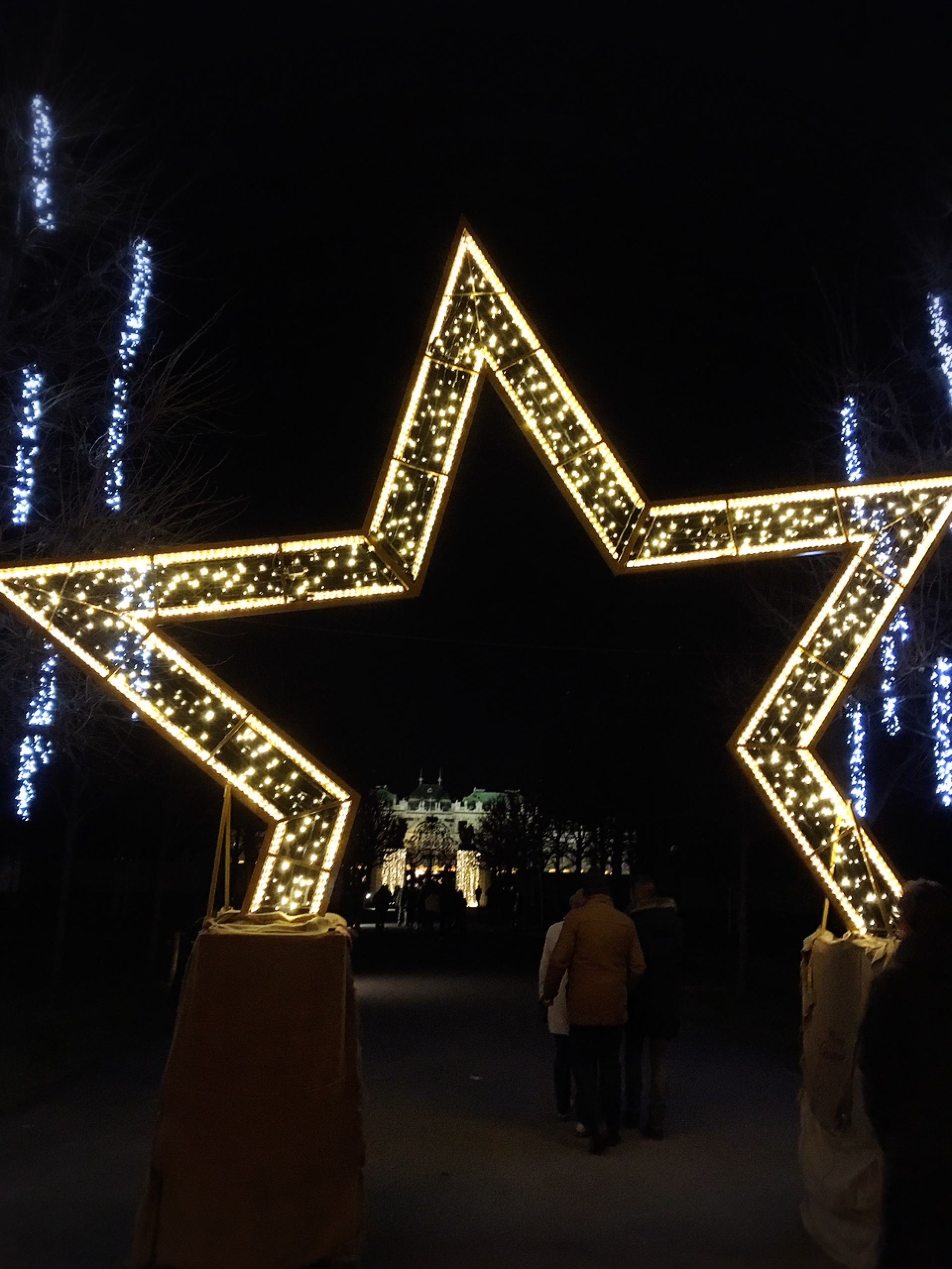 ベルベデーレ宮殿のクリスマス_1_2