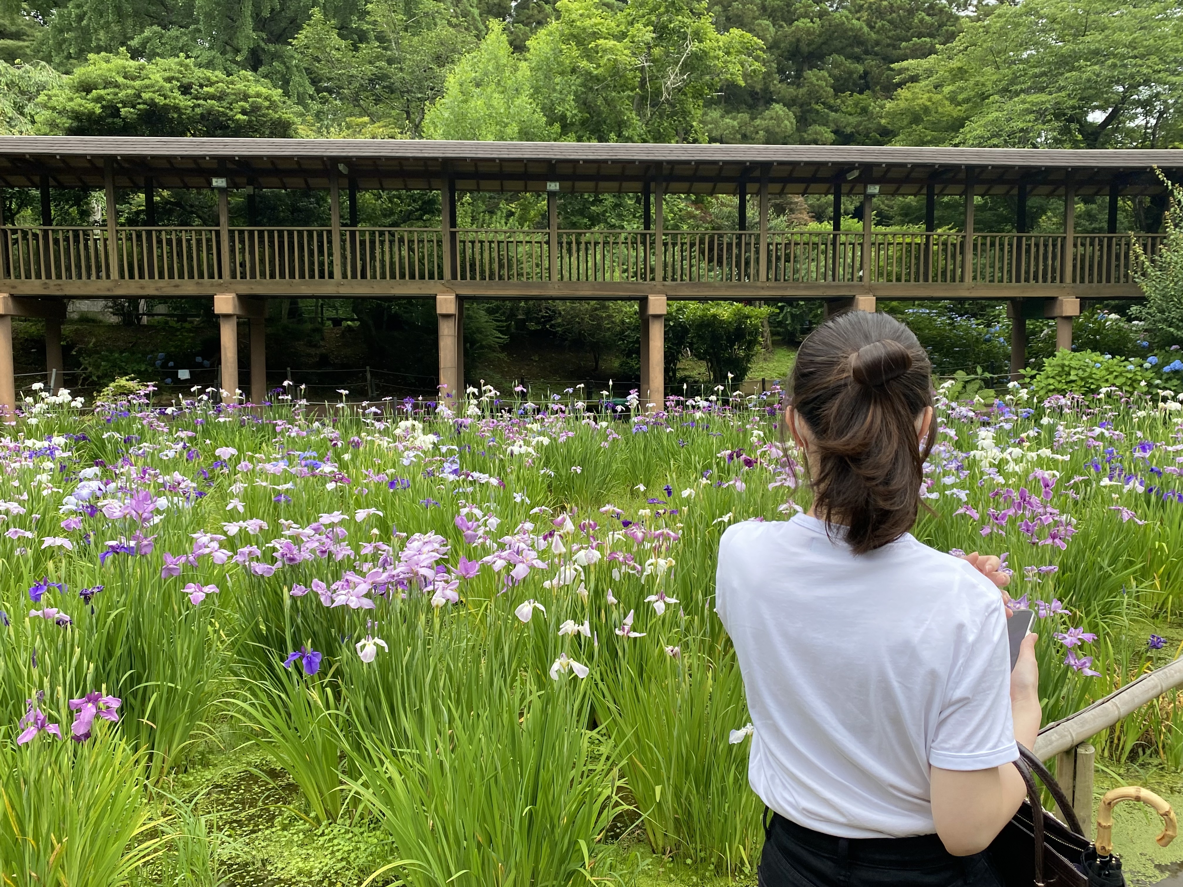 境内の水田には歩ける道もあり、おすすめです♡