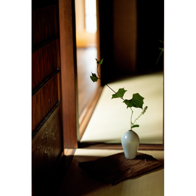 奥村さんが生けた花とともに、器の個性や魅力を楽しむことができる