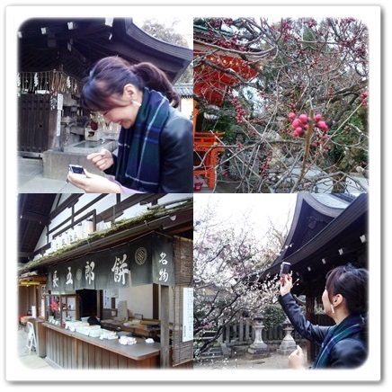 桜の前に出掛けてみませんか?京都で出会う梅の頃_1_4