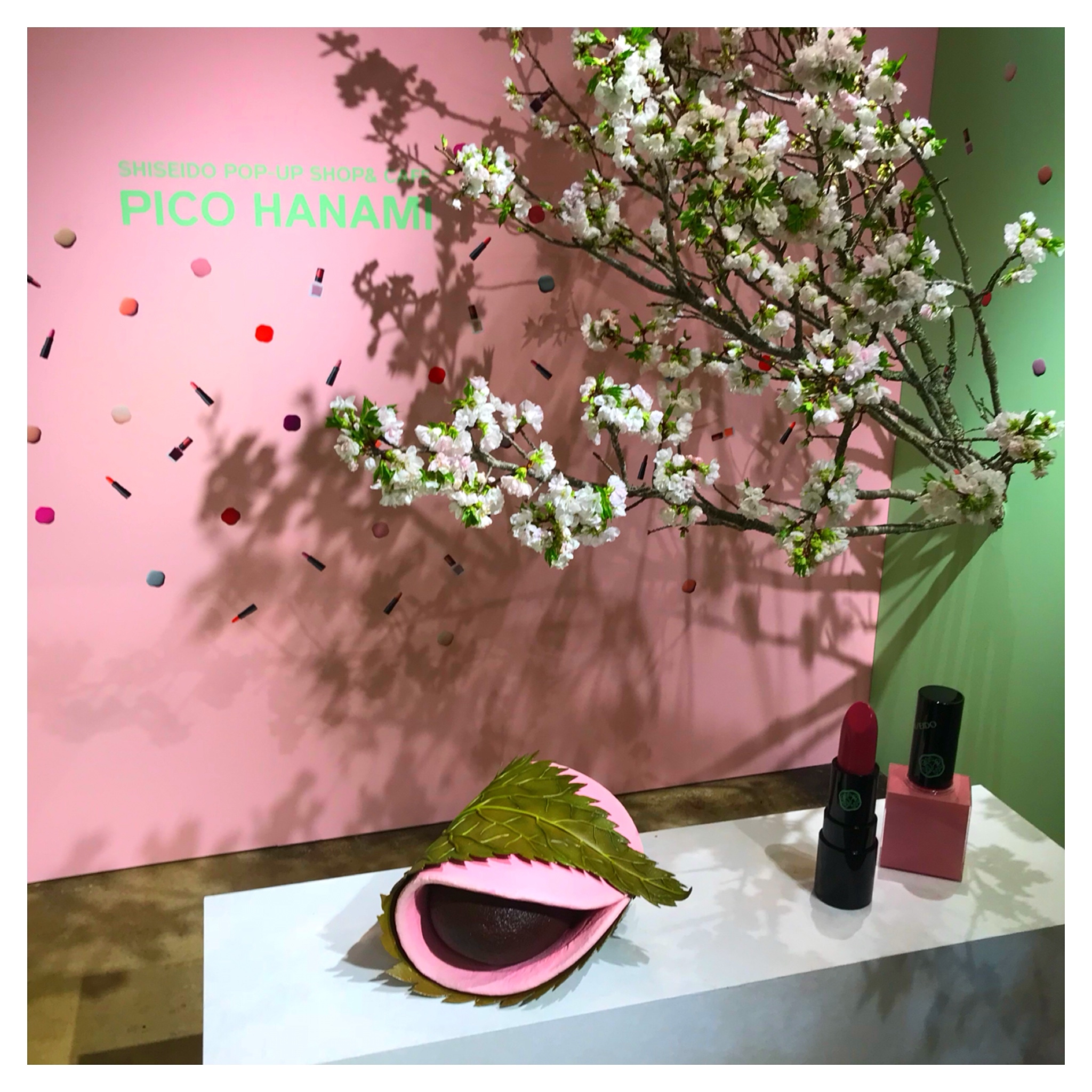 春を感じる!SHISEIDO PICO HANAMI_1_2