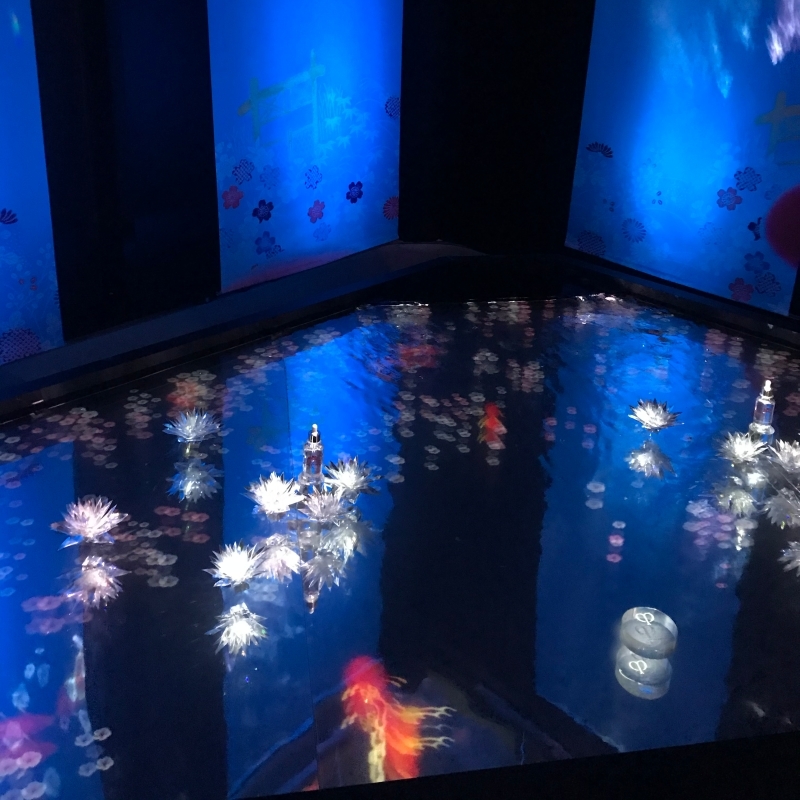 クレドポーのイベント、2階のハスの池の仕掛け