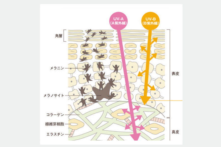 「アラフォーのUV対策」 本当のところどうしてる?_1_4