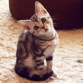 逆さから こんにゃちわ Web Eclat 50代女性のためのファッション ビューティ ライフスタイル最新情報