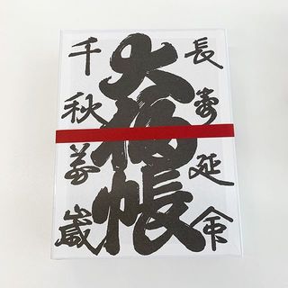 ロエベの新しいアイコンバッグ ポスタル に注目です Web Eclat 50代女性のためのファッション ビューティ ライフスタイル最新情報