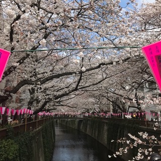 都会のお花見ツアー_1_1