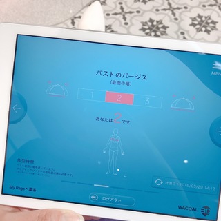 自分のバストが何サイズか分かる