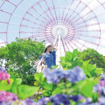 同じ喜びや関心を共有できるブログに励まされています!(さかぽんさん)