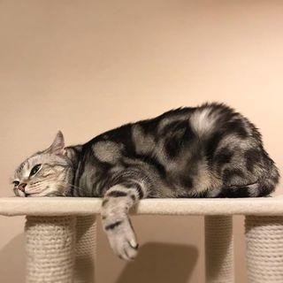 まあ 落ち着いて よかったら話 聞くよ 動画 Web Eclat 50代女性のためのファッション ビューティ ライフスタイル最新情報