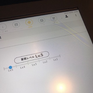 イプサライザーの診断結果