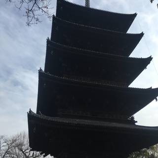 京都で新年の誓いを_1_2
