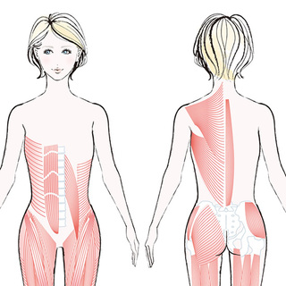 筋力低下を防いで 全身を強くするエクササイズ 40代ヘルスケア ファッション誌marisol マリソル Online 40代をもっとキレイに 女っぷり上々