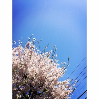 入園式コーデ_1_1