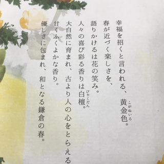迎春の香り_1_2